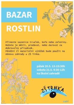 BAZAR ROSTLIN v Trnce