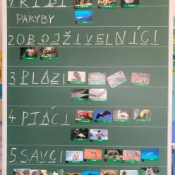 Živočichové Živočichové