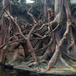 ZOO