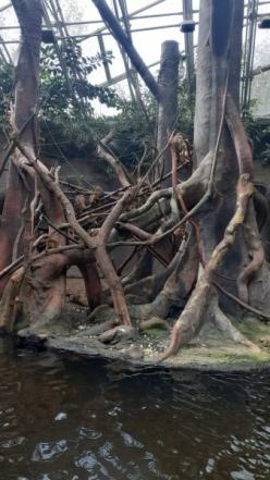 ZOO