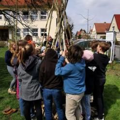 Stromy v šestce Stromy v šestce