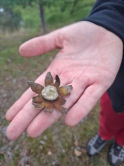 Příroda zblízka v září