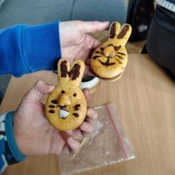 Perníkoví zajíčci