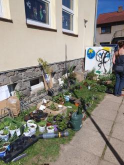 Jarní brigáda a bazar rostlin v TRNCE